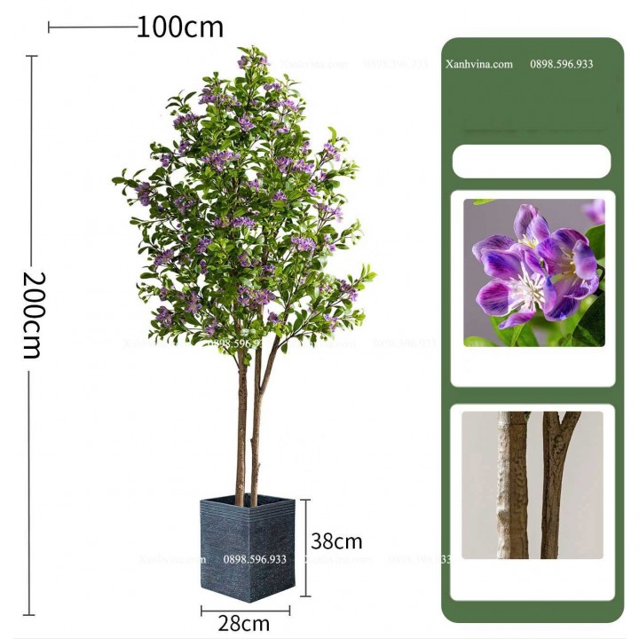 cây hoa sim giả